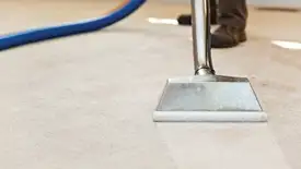 Carpet cleaning wand head gliding over a light carpet during hot-water extraction, Indianapolis, IN.