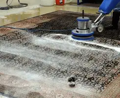 Professional rug cleaning with a rotary floor machine and shampoo foam, deep-cleaning an area rug, in Indianapolis, IN.