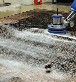 Professional rug cleaning with a rotary floor machine and shampoo foam, deep-cleaning an area rug Indianapolis, IN.
